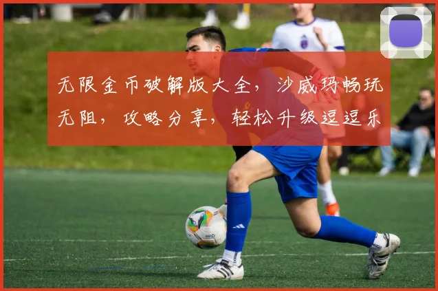 无限金币破解版大全，沙威玛畅玩无阻，攻略分享，轻松升级逗逗乐，必备