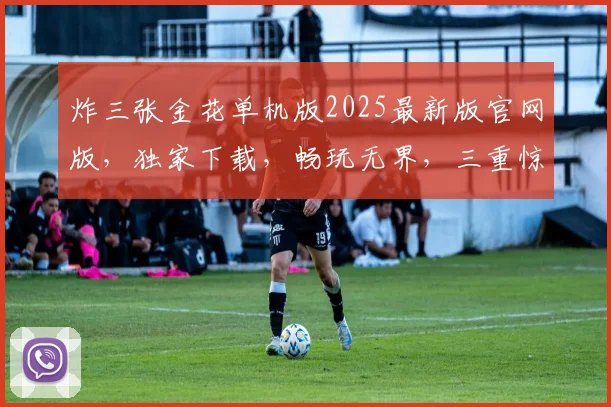 炸三张金花单机版2025最新版官网版，独家下载，畅玩无界，三重惊喜等你来
