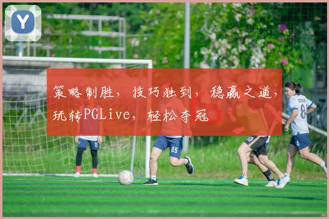 策略制胜，技巧独到，稳赢之道，玩转PGLive，轻松夺冠