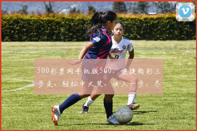 500彩票网手机版500，便捷购彩三步走，轻松中大奖，快人一步，尽在掌握