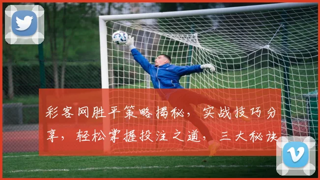 彩客网胜平策略揭秘，实战技巧分享，轻松掌握投注之道，三大秘诀助力成功